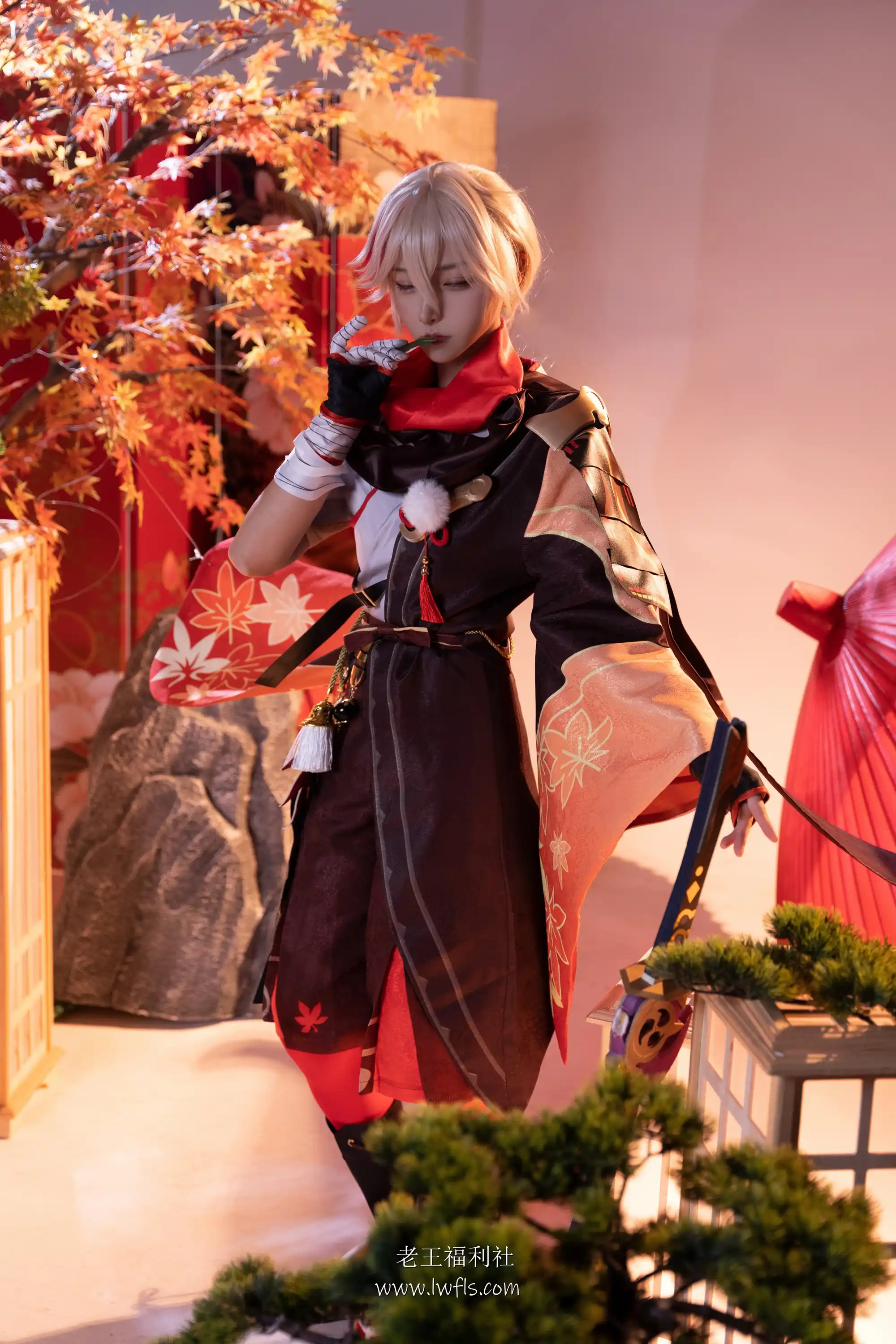 图片[11]-Seya-狮砸美女写真图集合集打包下载 - 老王福利社 - lwfls.vip[44套] [10GB]-老王福利社