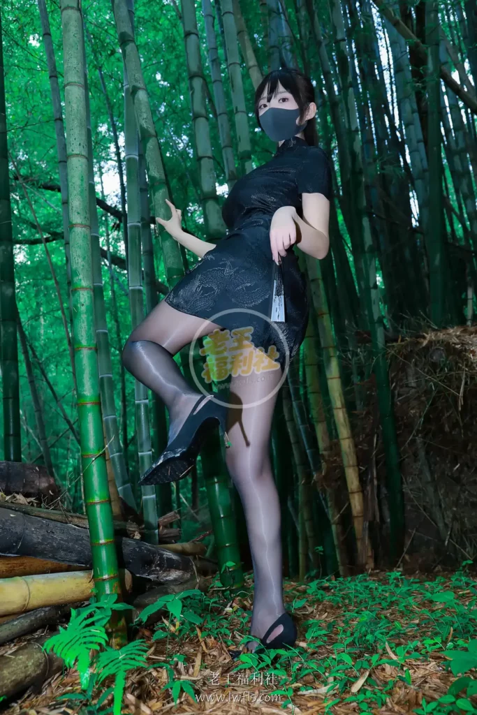 图片[9]-李佳 – 黑旗袍森林 [在线欣赏]- 老王福利社 - lwfls.vip[在线欣赏][56P]-老王福利社