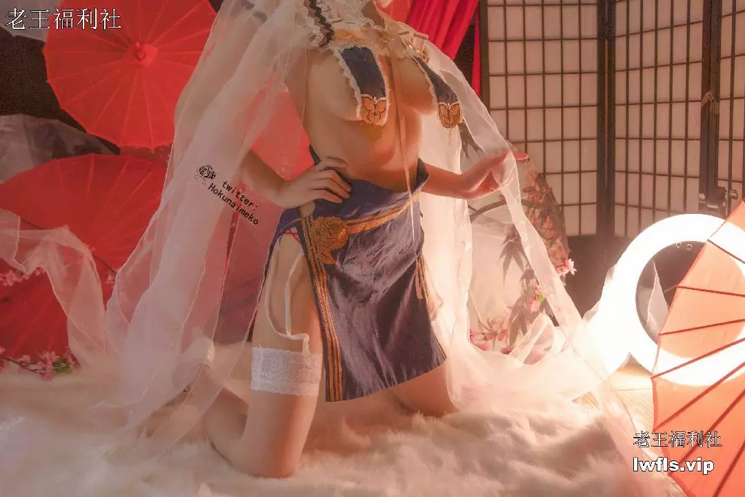 Hokunaimeko 北乃芽子NO.005-アズールレーン·シリアス [59P]