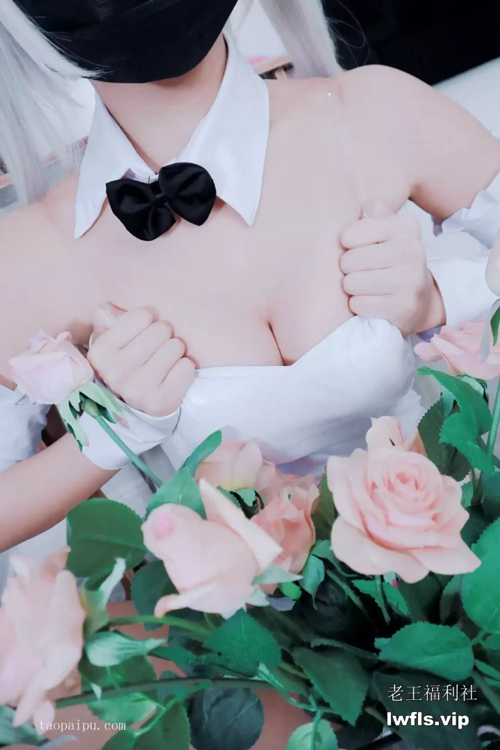 白袜袜格罗丫NO.002- 白发精灵[50P]