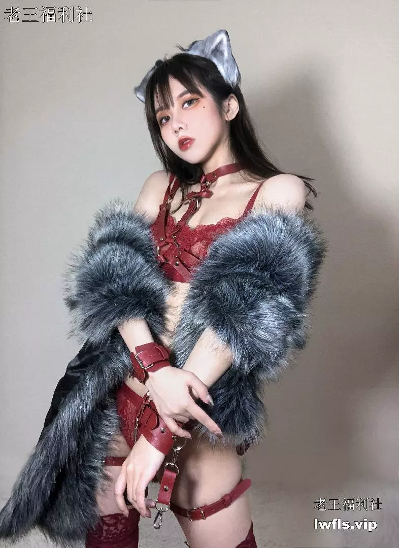 果咩酱w - NO.05 红太狼 [40P]