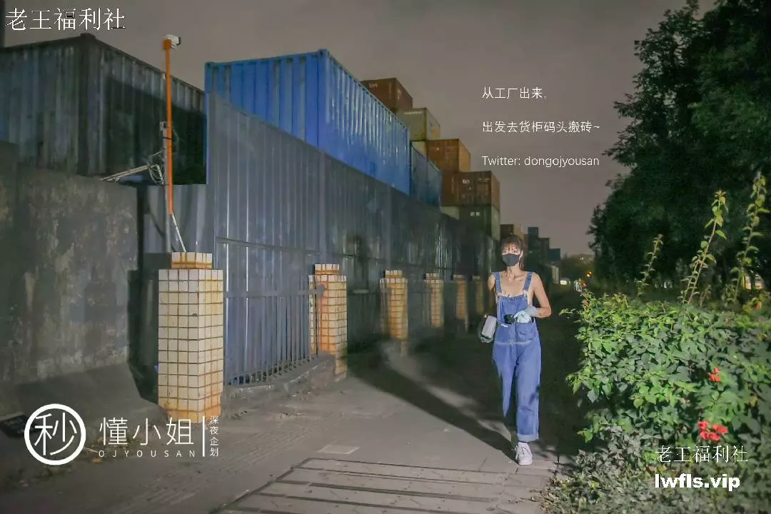 【老王推荐】深夜企划-懂小姐会有妻理万姬不二子大合集 [15G]