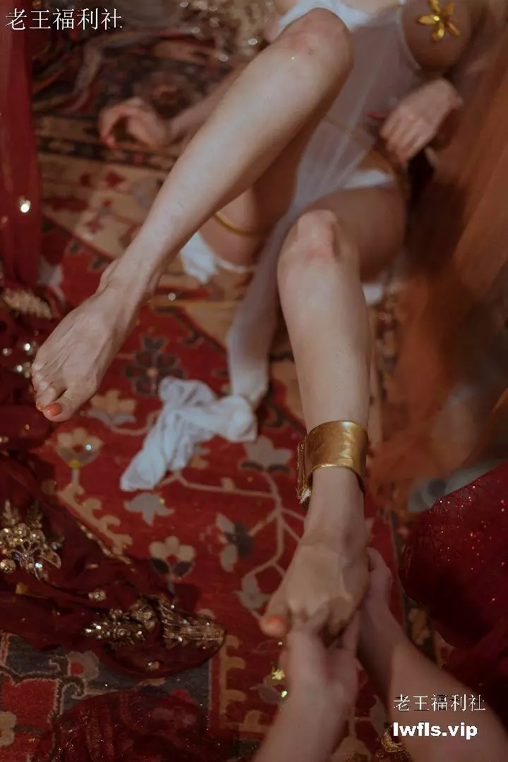 秋和柯基 - NO.03 宫廷狼妖-兽耳娘 [50P]